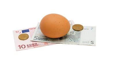 Image showing Brown egg on small euro banknotes with coins isolated