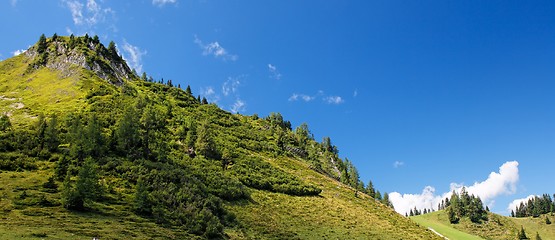 Image showing Lush green hill in bright summer day in Alps