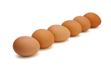 Image showing Row of six brown eggs isolated