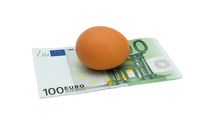 Image showing Brown egg on hundred euro bill isolated