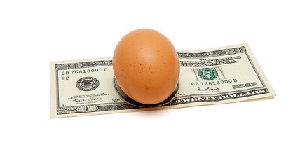 Image showing Brown egg on twenty dollar bill isolated