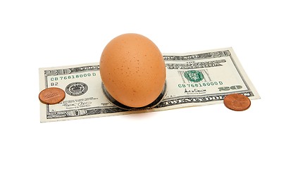 Image showing Brown egg on twenty dollar bill isolated