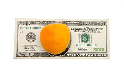 Image showing Apricot on twenty dollar bill isolated