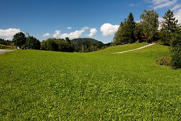 Image showing Lush Alpine meadow in bright summer day