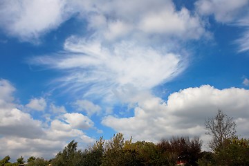 Image showing Cumulus clouds in blue sky above trees 