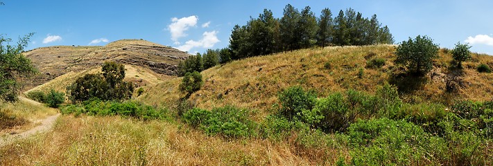 Image showing Scenic hills with yellow grass and green trees