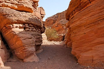 Image showing Narrow slot between two striped orange rocks in stone desert