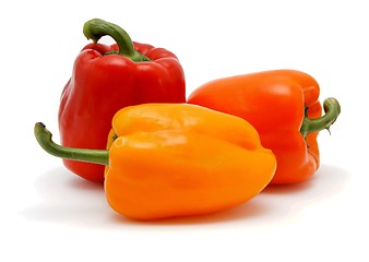 Image showing Three sweet bell peppers of different colors isolated