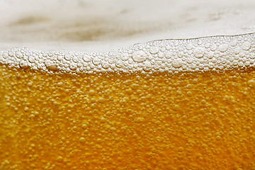 Image showing beer