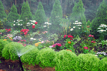 Image showing flowers and trees in garden