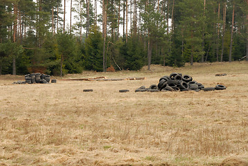 Image showing Junkyard in nature.