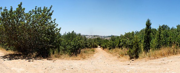 Image showing Hiking trail leads from suburb forest into the town