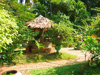 Image showing Garden. Vientiane. Laos