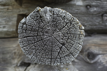 Image showing Old wood texture