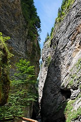 Image showing Narrow Liechtenstein canyon in Austrian Alps