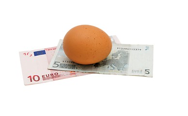 Image showing Brown egg on small euro banknotes isolated