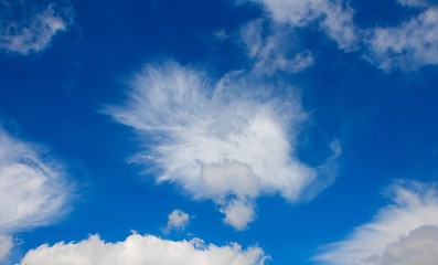 Image showing White cumulus cloudscape in blue sky