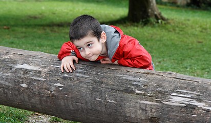 Image showing Cute little boy with sly expression leans on the thick log