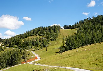 Image showing Alpine landscape with mountains, pastures, and footpath