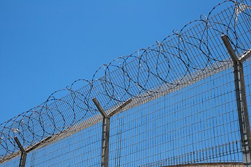 Image showing Fence with spiral barbed wire on top on sky background