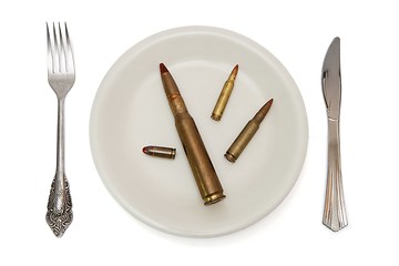 Image showing Various cartridges on the plate the isolated