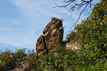 Image showing Brown rock finger with grass tuft