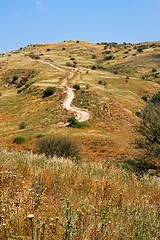 Image showing Countryside road leads to the top of yellow autumn hill
