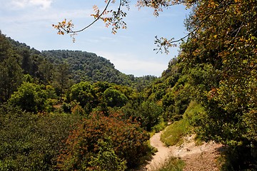 Image showing Hiking track among green wooded hills 