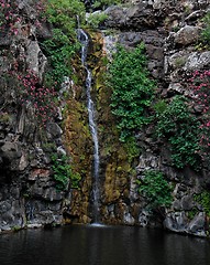 Image showing Waterfall falls on black basalt rocks