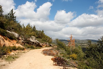 Image showing Scenic path curve among wooded hills around Jerusalem