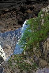 Image showing Narrow Alpine canyon in Austria