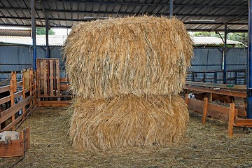 Image showing Haystacks at the agricultural farm stored for animal feed