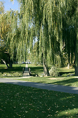 Image showing Path in the Park