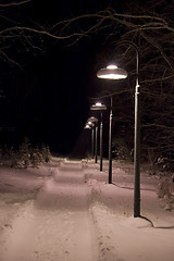 Image showing Winter walkway