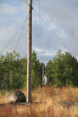 Image showing Rural phone pole #1