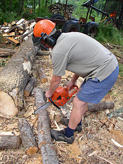 Image showing Chainsaw operator