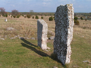 Image showing Gravestones