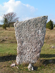 Image showing Gravestone
