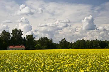 Image showing Field