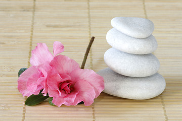 Image showing Spring meditation