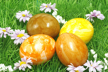 Image showing Easter eggs