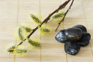 Image showing Blooming branches with stones