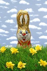 Image showing Easter bunny