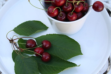 Image showing Cherries on leaves