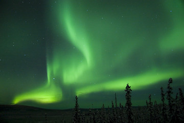 Image showing Active splitting Aurora Borealis arc