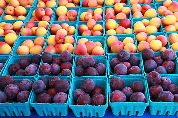 Image showing Plums and Apricots