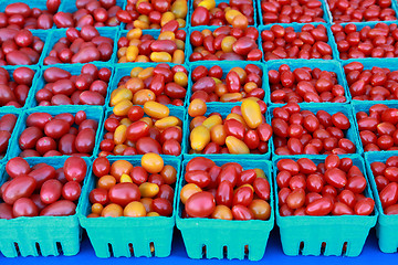 Image showing Plum Tomatoes