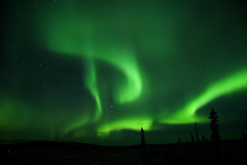 Image showing Aurora all over the sky