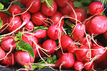 Image showing Radishes