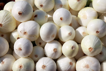 Image showing Peeled White Onions
